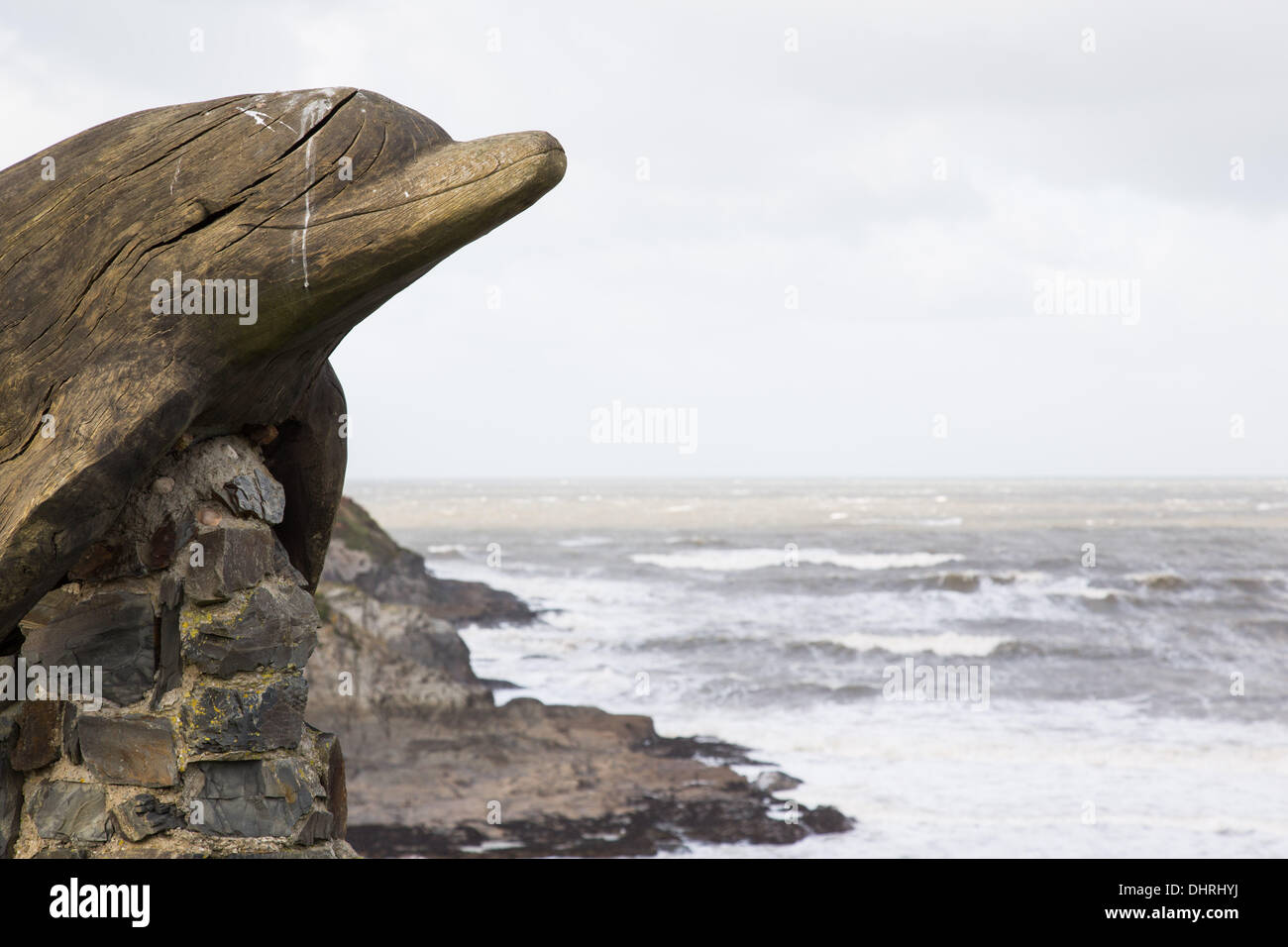 Leaping dolphin cardigan bay hires stock photography and images Alamy