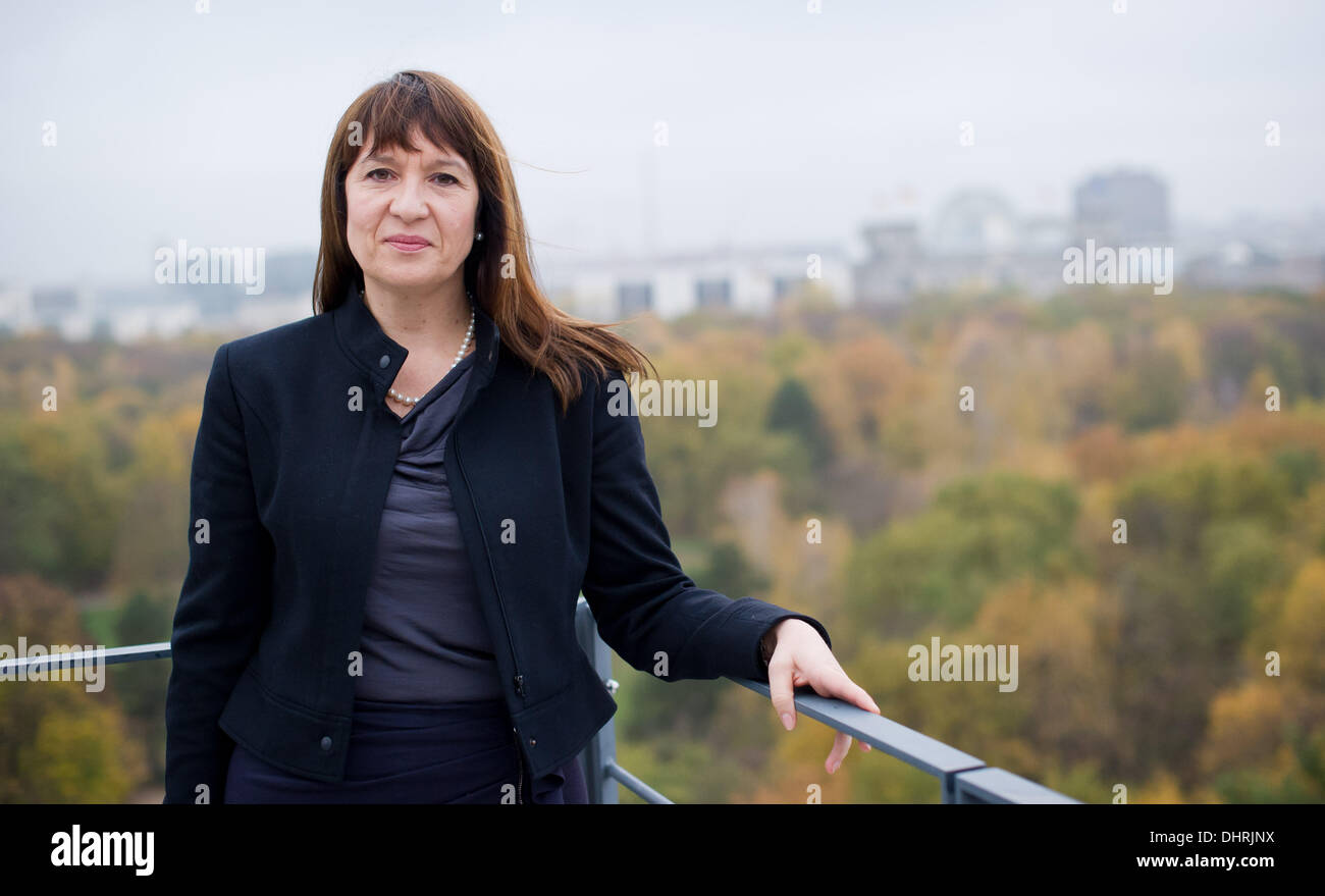 Berlin, Germany. 13th Nov, 2013. The new chief manager of the Federal Association of Public Banks in Germany (Bundesverband Oeffentlicher Banken , VOeB), Liane Buchholz, stands on the roof terrace of the VOeB in Berlin, Germany, 13 November 2013. Photo: Ole Spata/dpa/Alamy Live News Stock Photo