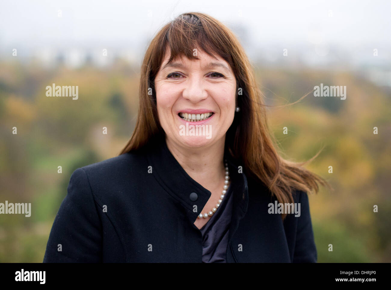 Berlin, Germany. 13th Nov, 2013. The new chief manager of the Federal Association of Public Banks in Germany (Bundesverband Oeffentlicher Banken , VOeB), Liane Buchholz, stands on the roof terrace of the VOeB in Berlin, Germany, 13 November 2013. Photo: Ole Spata/dpa/Alamy Live News Stock Photo