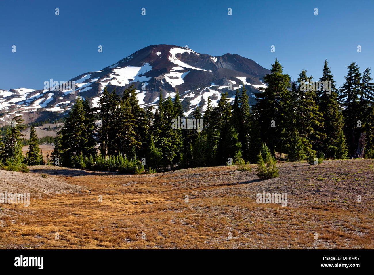 OREGON - The South Sister from a meadow on the trail to Wickiup Plain in the Three Sisters Wilderness. Stock Photo