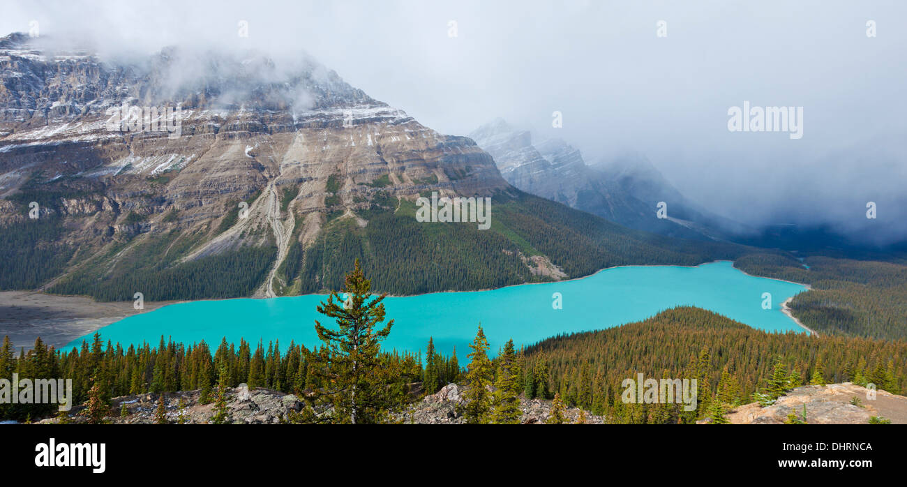 Alberta banff canada peyto lake banff national park canadian rockies hi ...