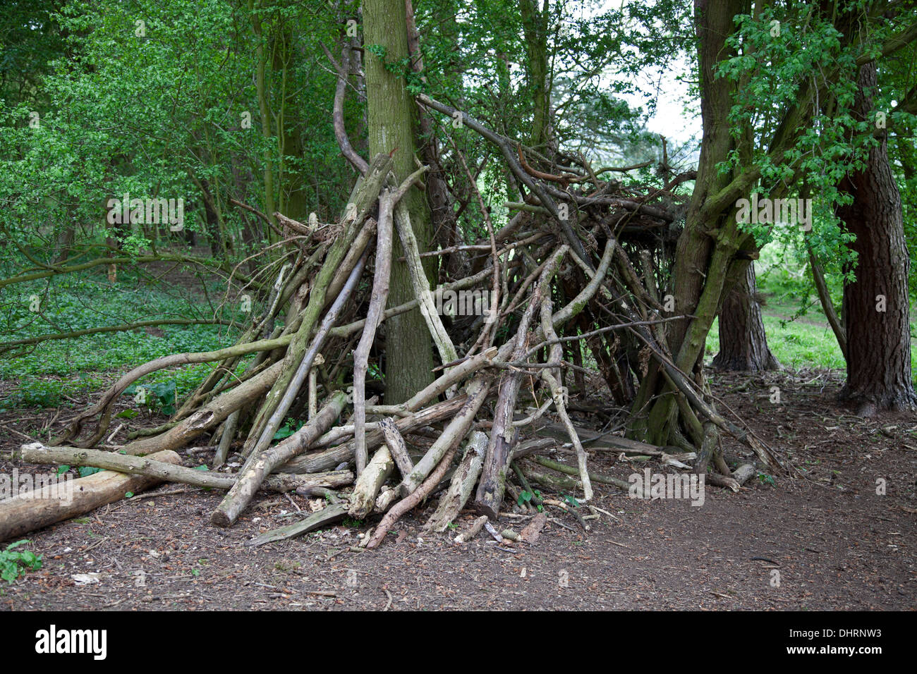 Children's den or tent made of discarded branches Stock Photo