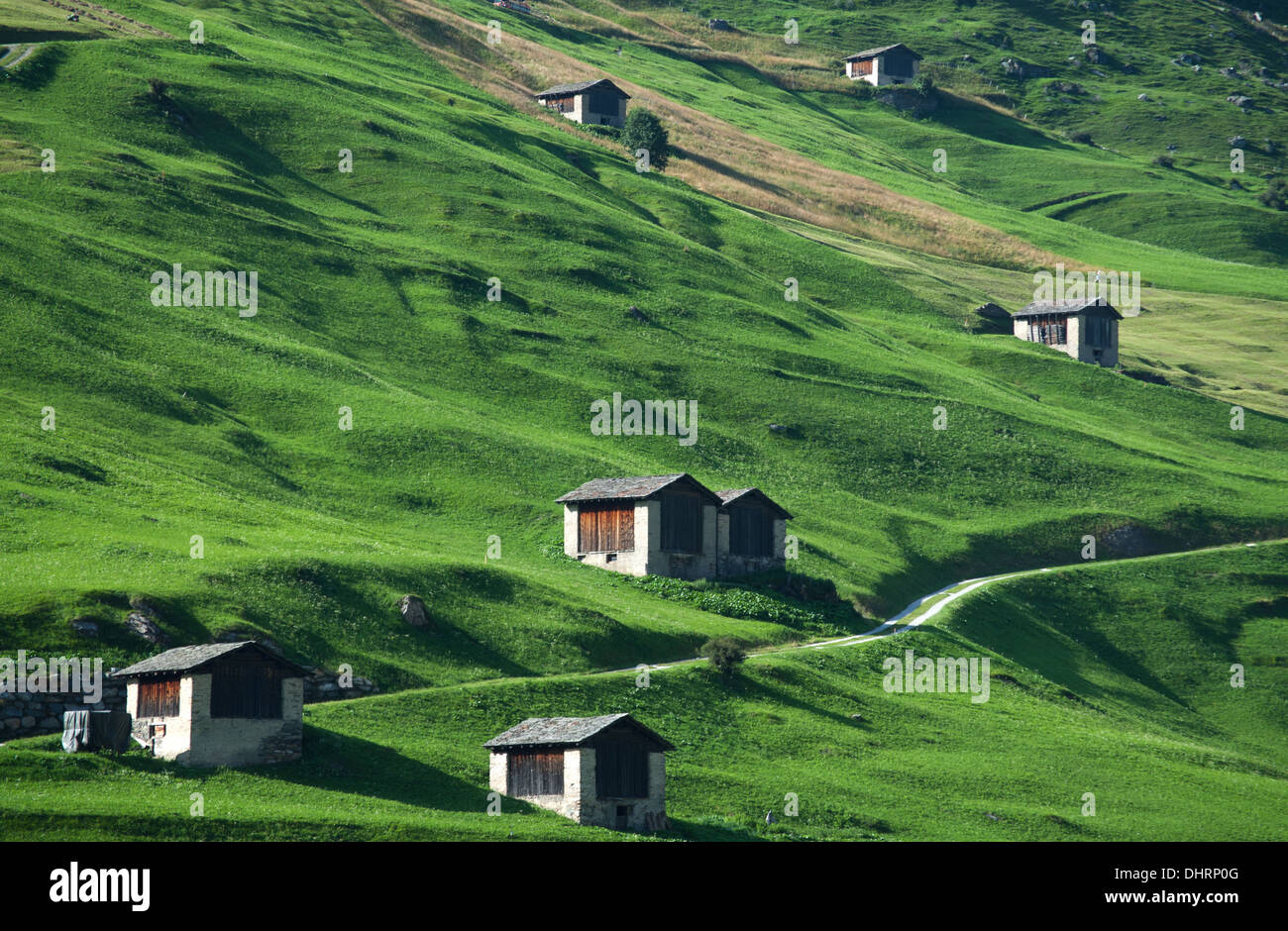 Hey barns on alpine hillside at Vals, Graubuenden, Switzerland Stock Photo