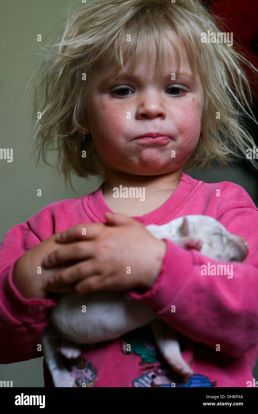 little blond boy with a puppy in a pink shirt, puppy pet, dog, portrait, hugging, Puppy hug dog newborn Stock Photo