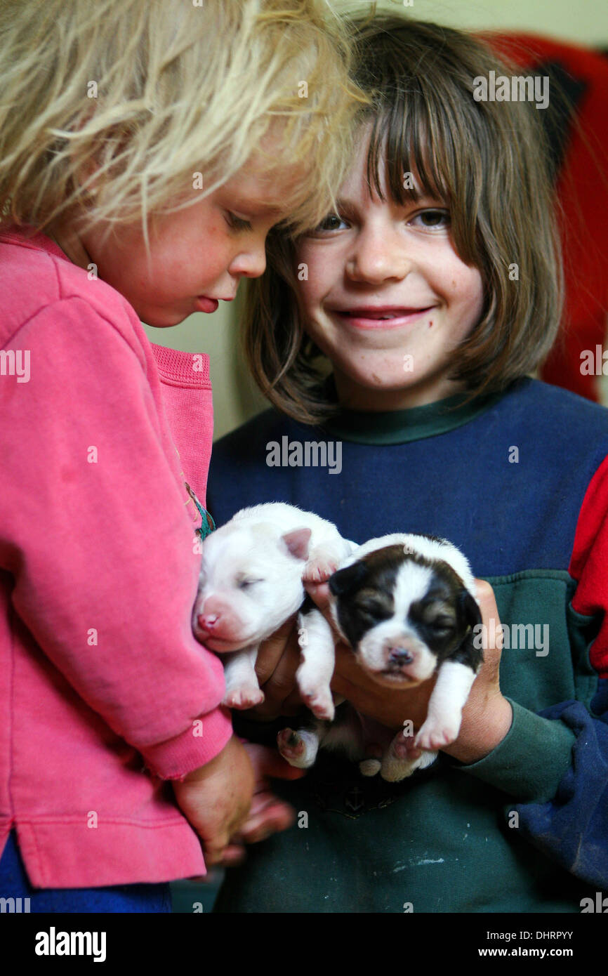 little blond boy with sister with a puppy in a pink shirt Stock Photo