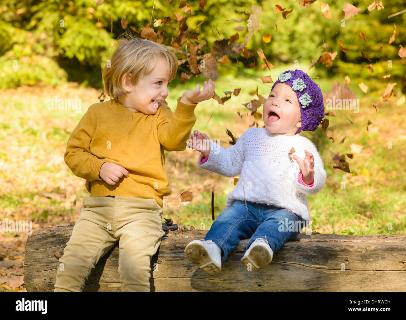 Children throwing leaves in autumn forest Stock Photo