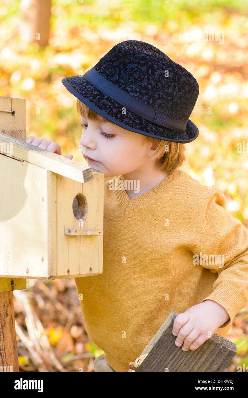 Child looking curious at one birds house in a forest in autumn time Stock Photo