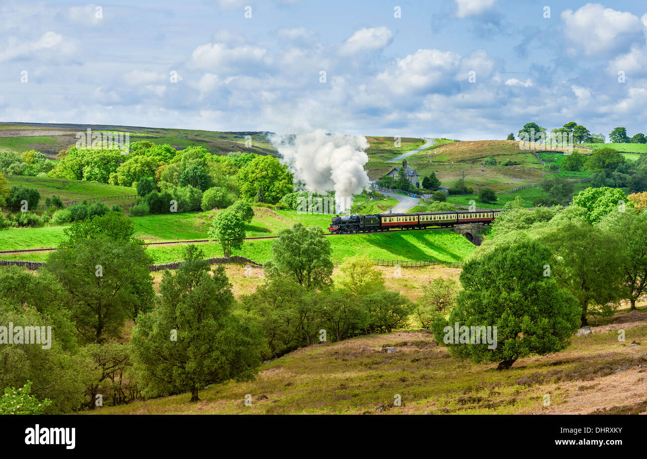 Vintage steam train makes its way to Pickering through the North York Moors on June 12, 2012 near Goathland, Yorkshire, UK. Stock Photo