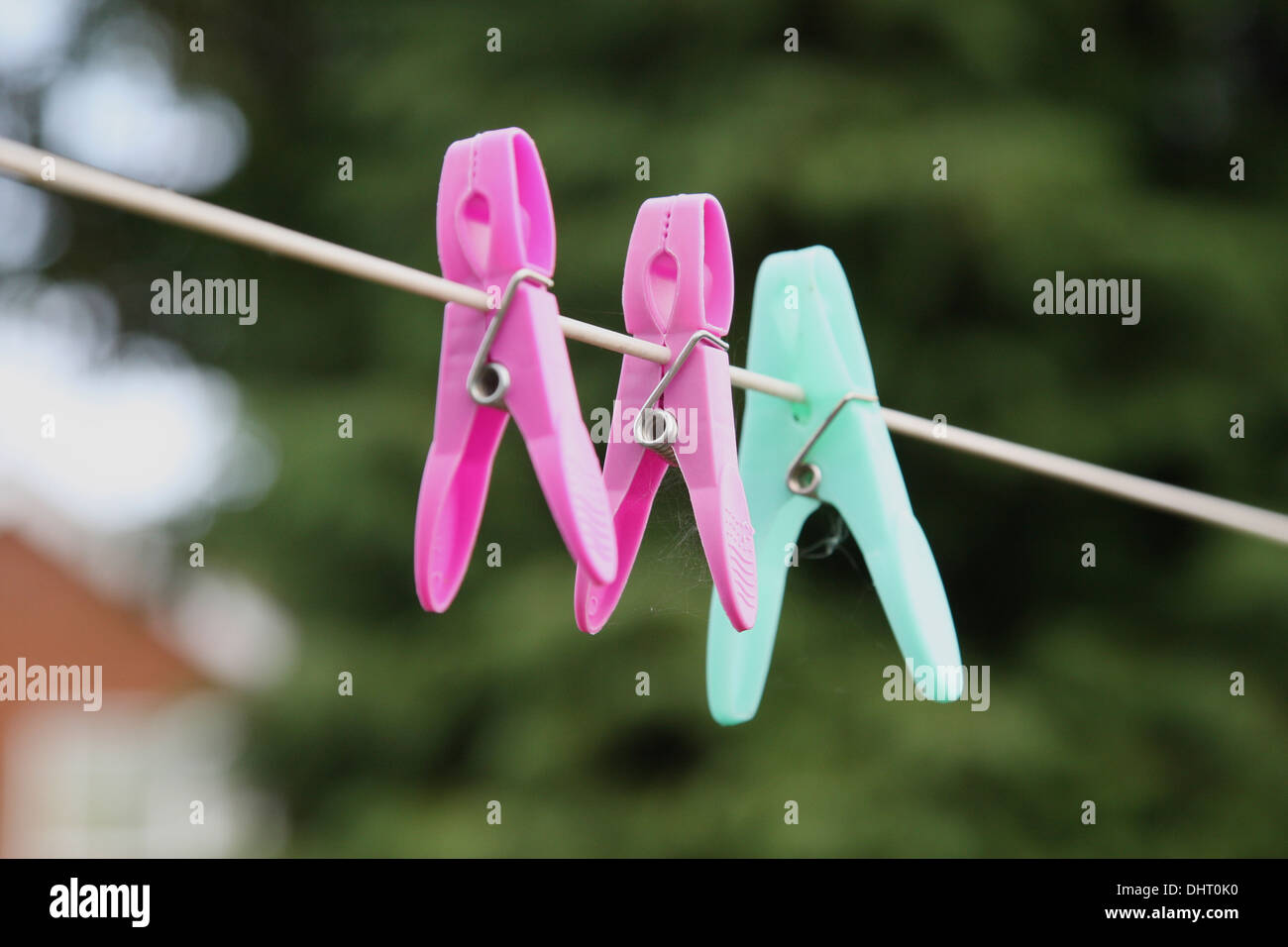Plastic pegs and cobwebs on a washing line against green background. Stock Photo