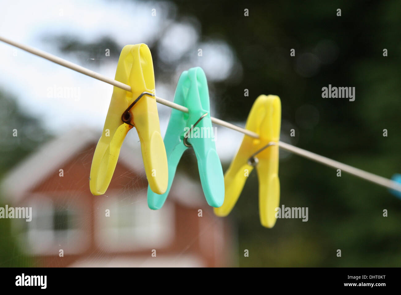 Plastic pegs and cobwebs on a washing line against green background. Stock Photo