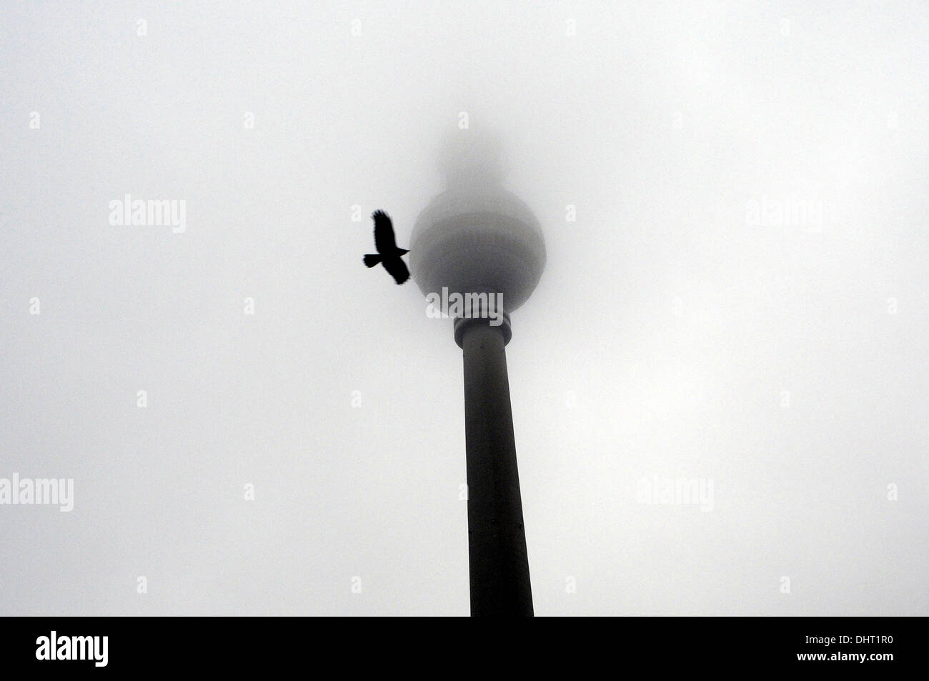 A bird flying next to the TV tower in Berlin, Germany Stock Photo