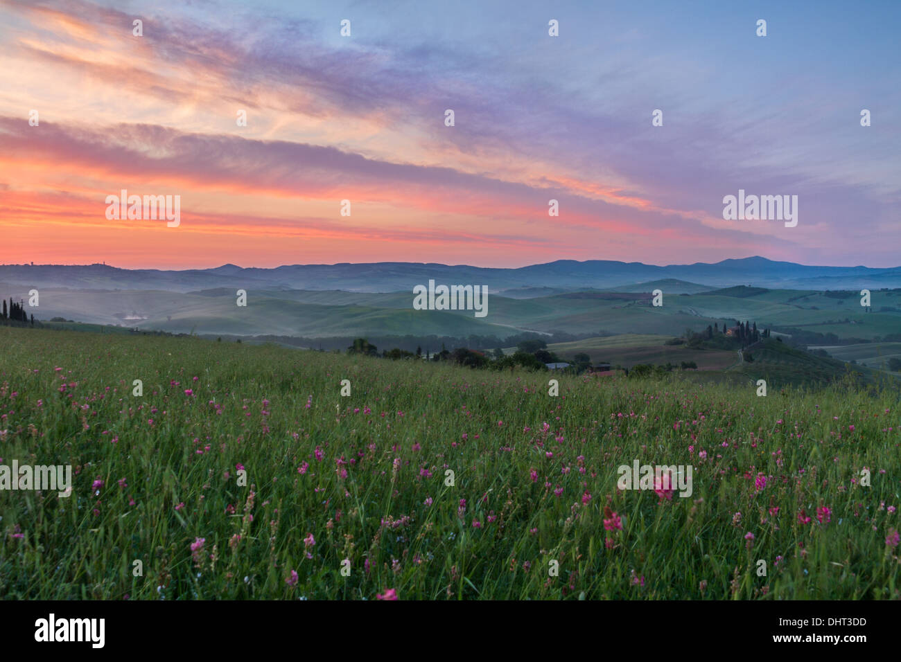 Val d'Orcia after sunrise with violet sky, Tuscany, Italy Stock Photo