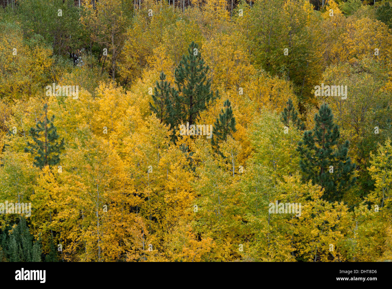 Autumn in northern California Stock Photo Alamy