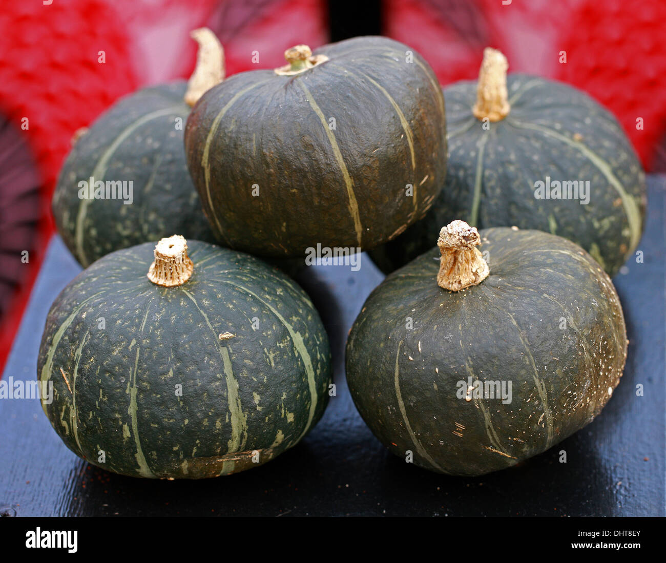 Pumpkins 'Green Kabocha', Cucurbita pepo, Cucurbitaceae. Aka Squash, Winter Saquash, Summer Squash. Stock Photo