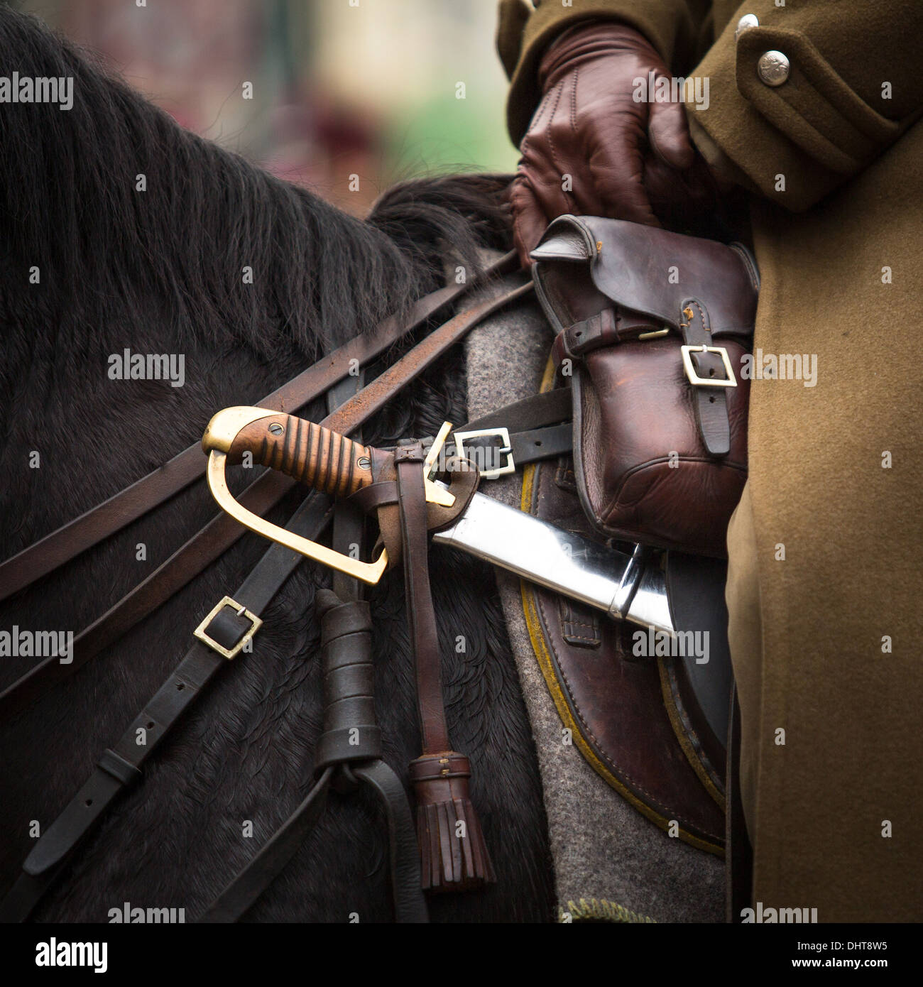 Close-up harness and saber at Polish cavalry. Stock Photo