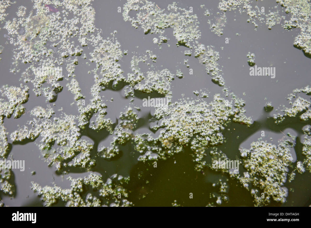 Sewage began to stink in the Wastewater treatment pond. Stock Photo