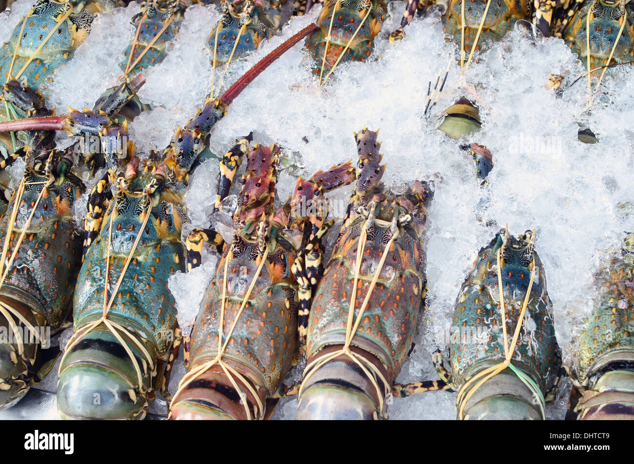 lobsters Stock Photo
