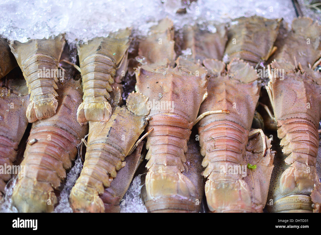 Lobster armour hi-res stock photography and images - Alamy