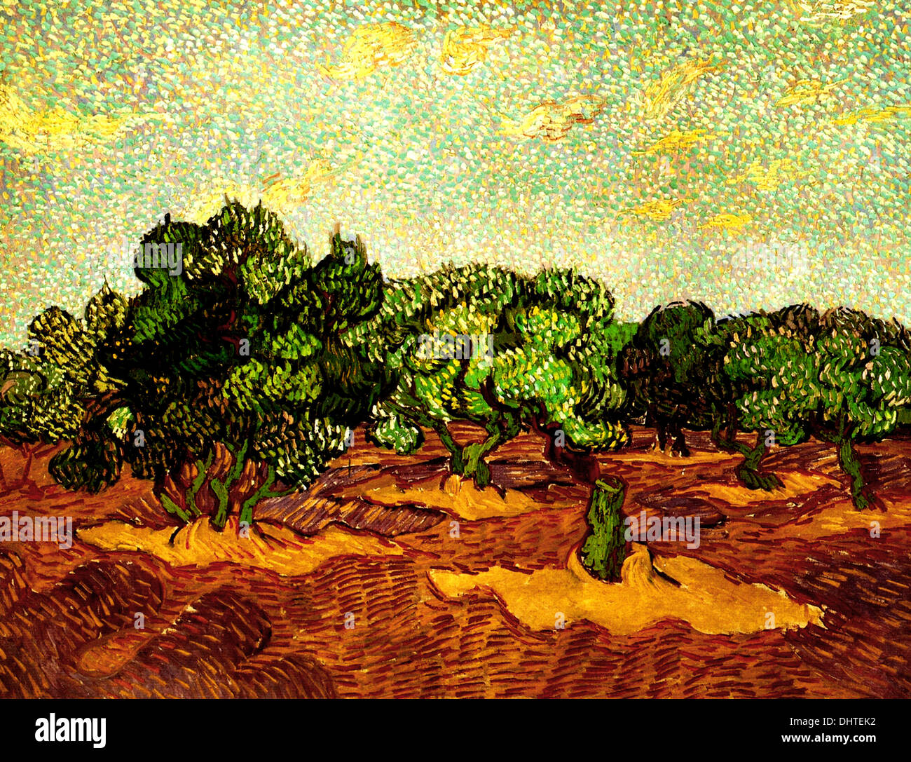 Olive Grove, Pale Blue Sky - by Vincent van Gogh, 1889 Stock Photo