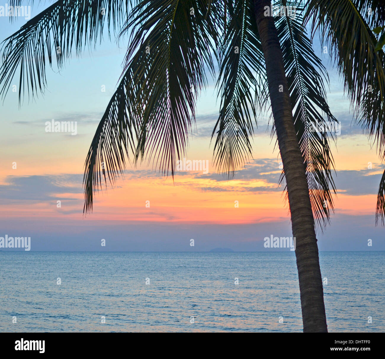 Hawaii forest sunset hi-res stock photography and images - Alamy