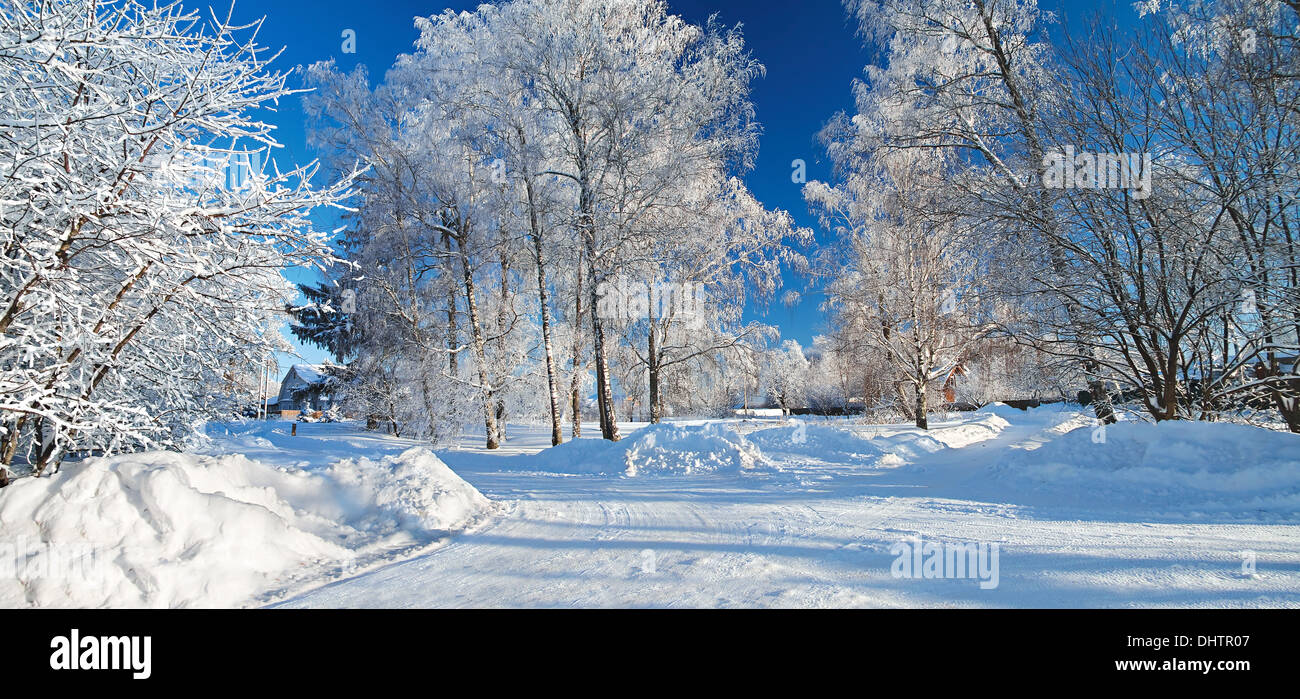 winter landscape with the road the forest and the blue sky Stock Photo ...