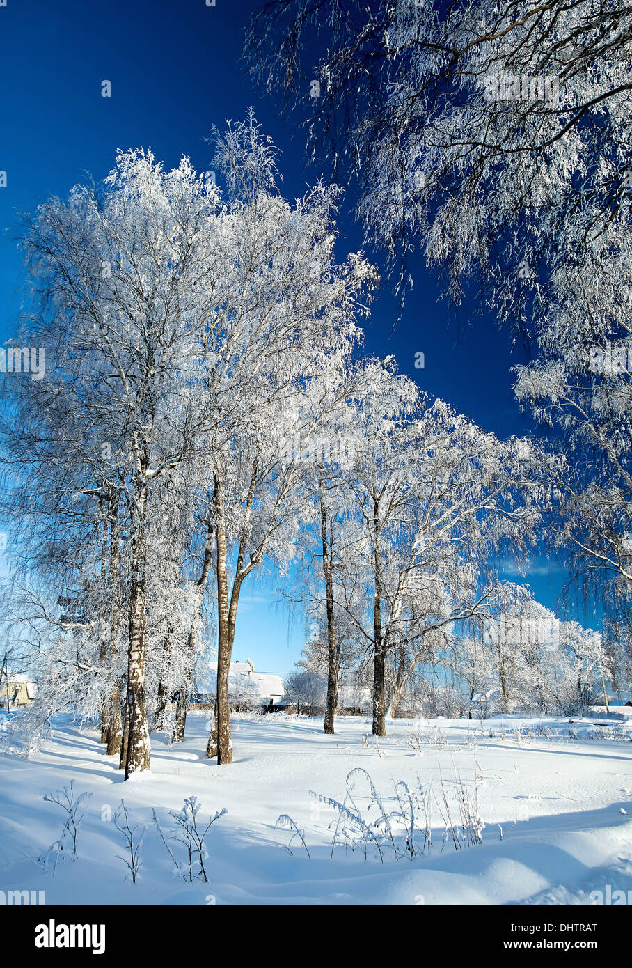 winter landscape with the road the forest and the blue sky Stock Photo ...