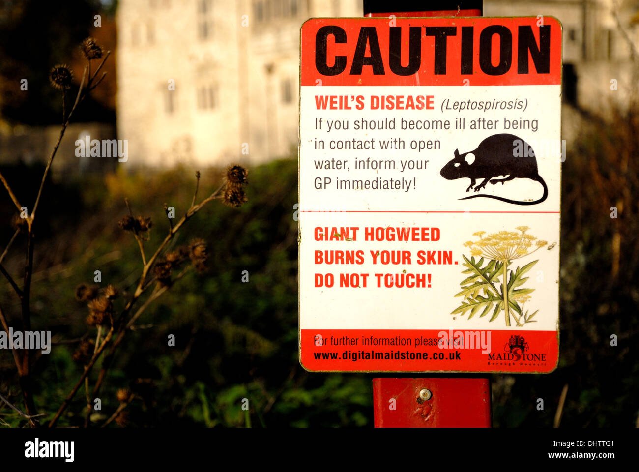 Sign warning of Weil's Disease (Leptospirosis) and Giant Hogweed by the River Medway in Maidstone, England. Stock Photo