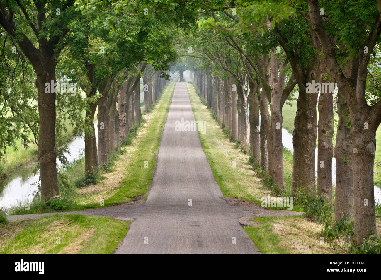 Netherlands, Middenbeemster, Typical straight road in Beemster polder, a UNESCO World heritage Site. Motorcycle Stock Photo