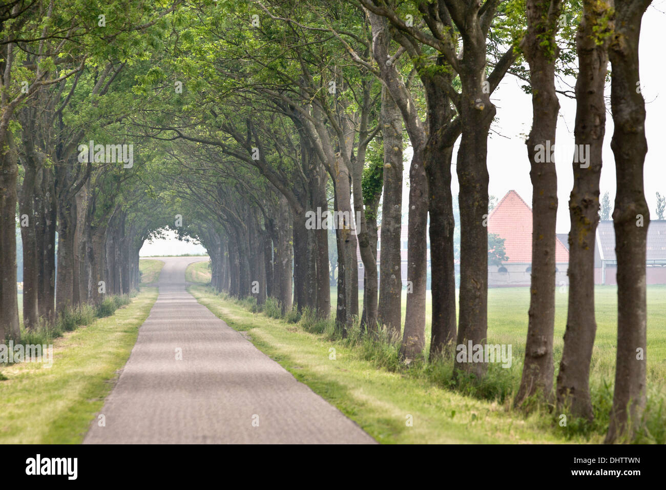 Netherlands, Middenbeemster, Typical straight road in Beemster polder, a UNESCO World heritage Site. Motorcycle Stock Photo