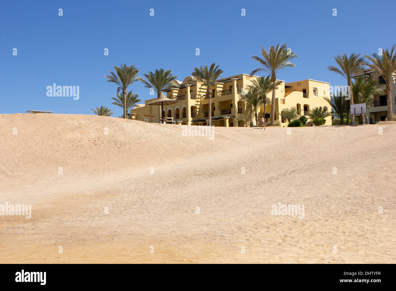 Sahara desert doum palm hires stock photography and images Alamy