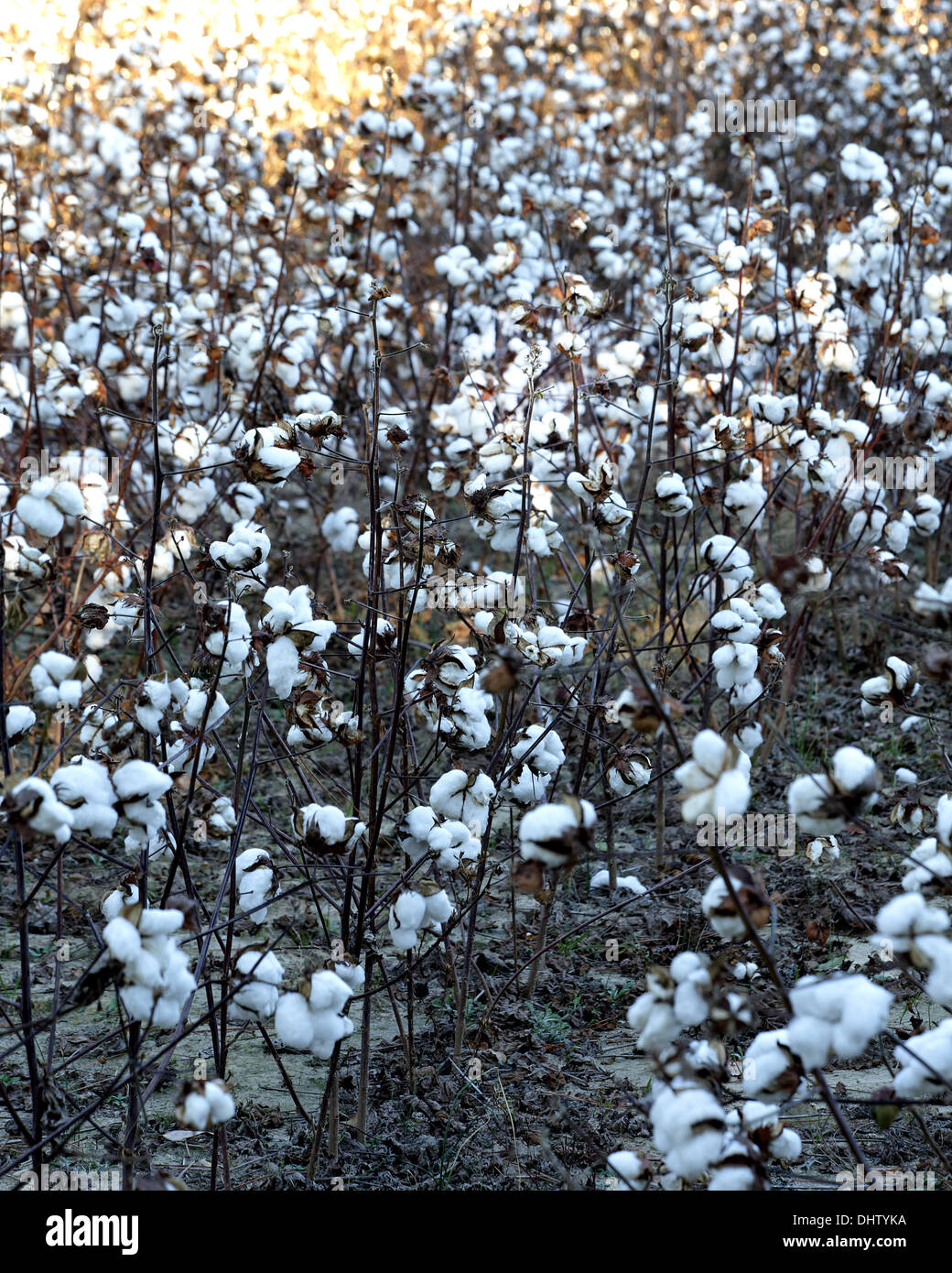 Good news bad news hires stock photography and images Alamy