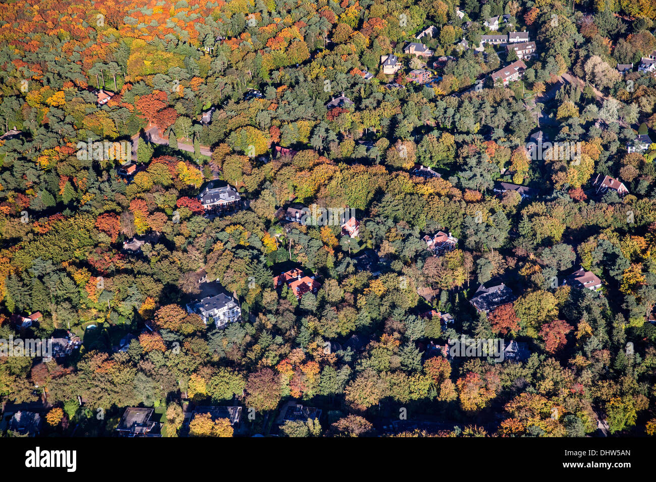 Netherlands, Hilversum, Villas surrounded by trees. Autumn colors