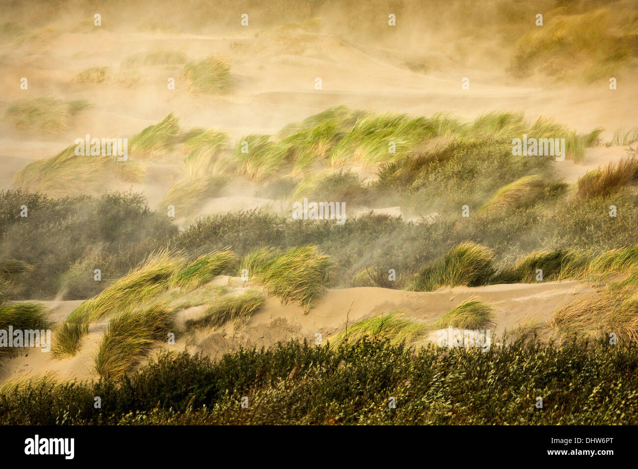 Strong wind blowing people hi-res stock photography and images - Alamy