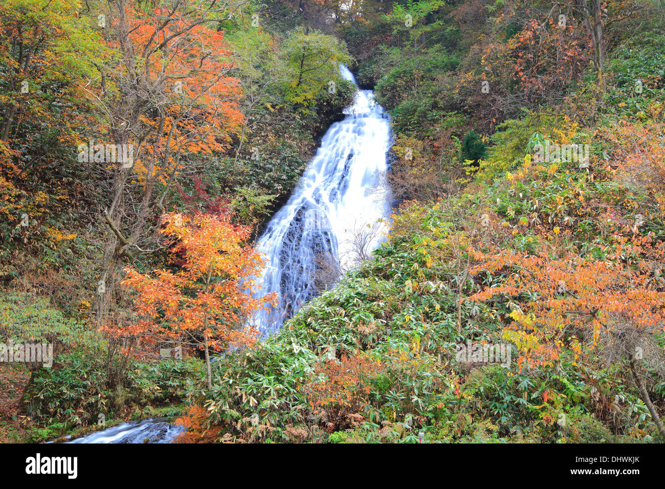 Waterfall in autumn, Name is Nanataki, Akita, Japan Stock Photo