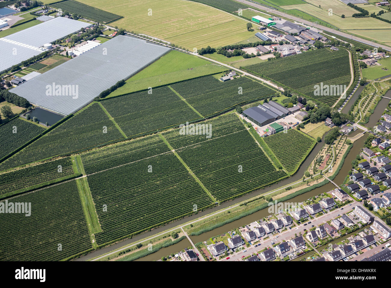 Netherlands, Utrecht, Horticulture, Aerial Stock Photo