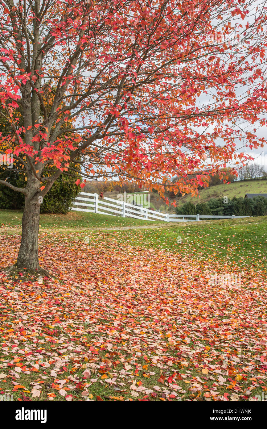 Autumn farm scene near Loudonville, Ohio. Stock Photo