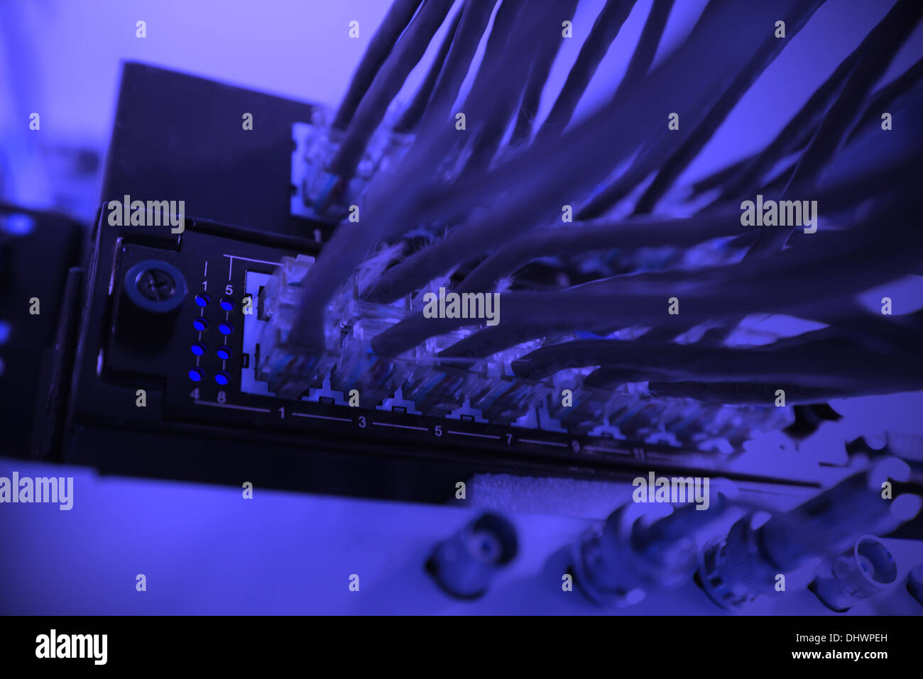 network cables connected to switches, shallow depth of field Macro Stock Photo