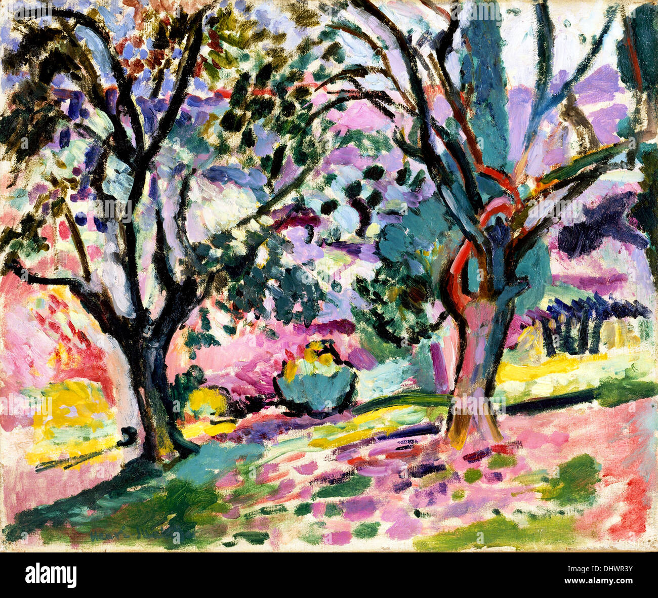 Olive Trees at Collioure - by Henri Matisse, 1905 Stock Photo