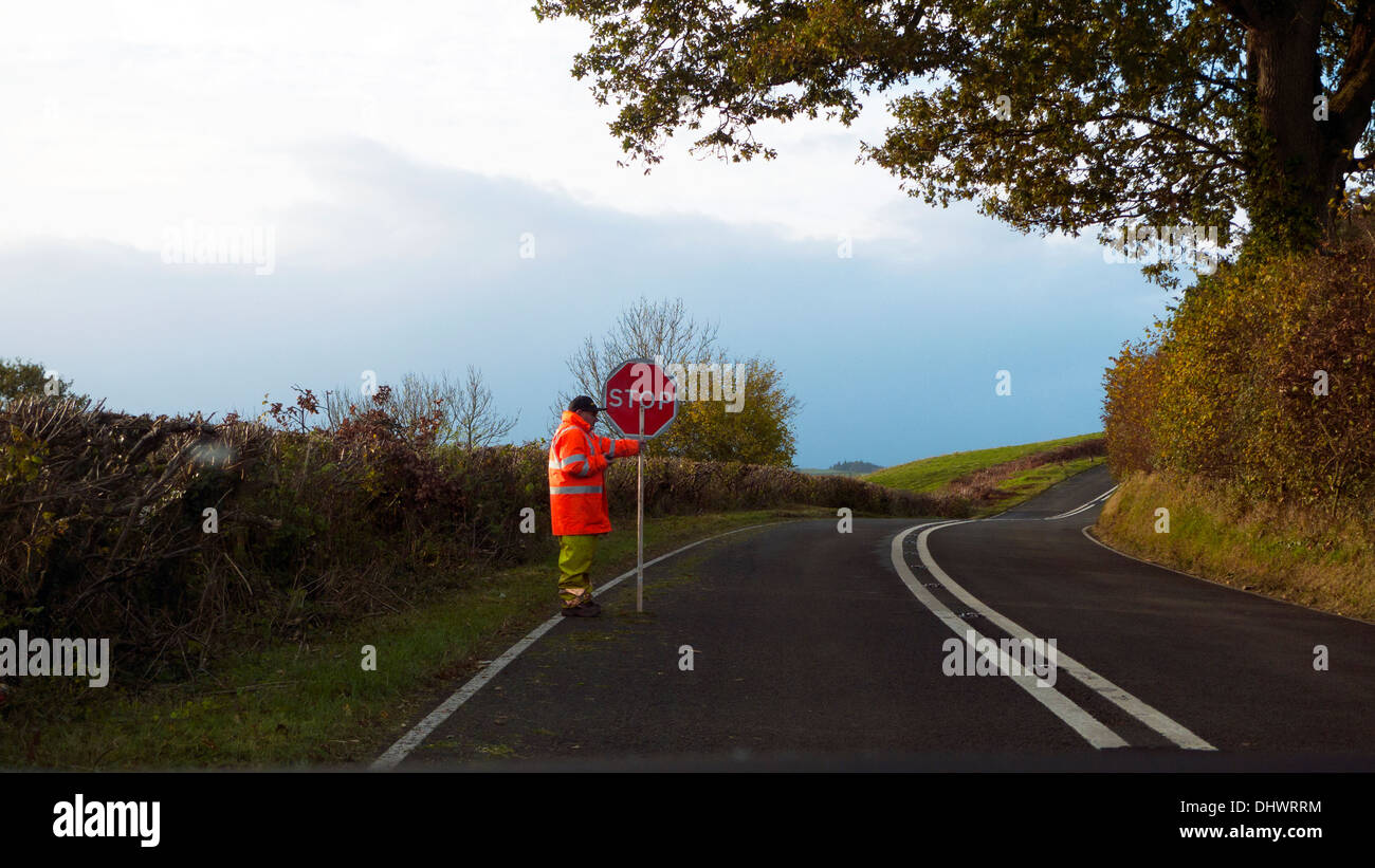 Council worker holding STOP sign on bend in a rural road where tractors are hedge cutting in autumn Powys Wales UK  KATHY DEWITT Stock Photo