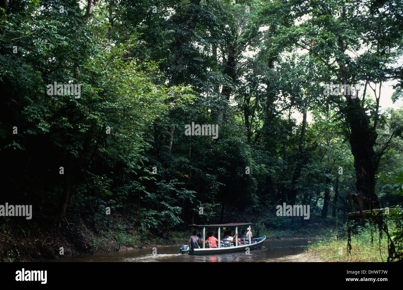manaus, state of amazonas, amazon region, brazil, south america Stock Photo