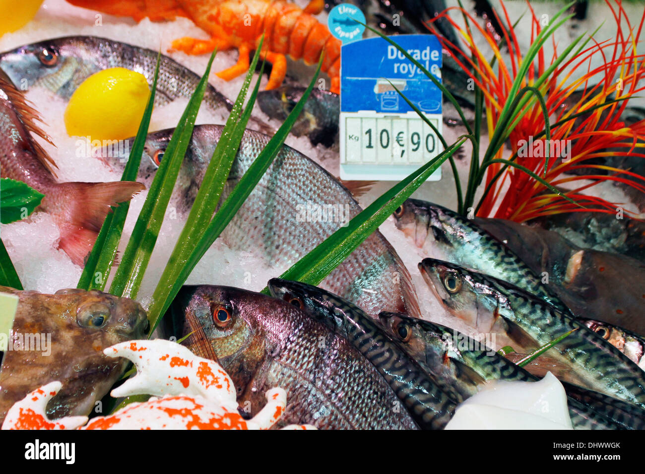 FISH SHOP Stock Photo