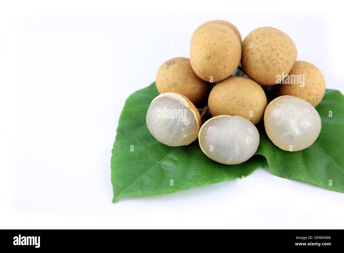 Longan of fruit and Leaves tree on the white background. Stock Photo