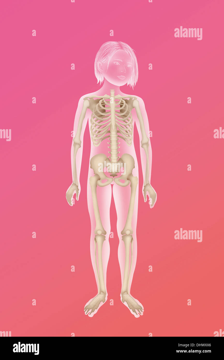 res stock photography and images Biology Diagrams
