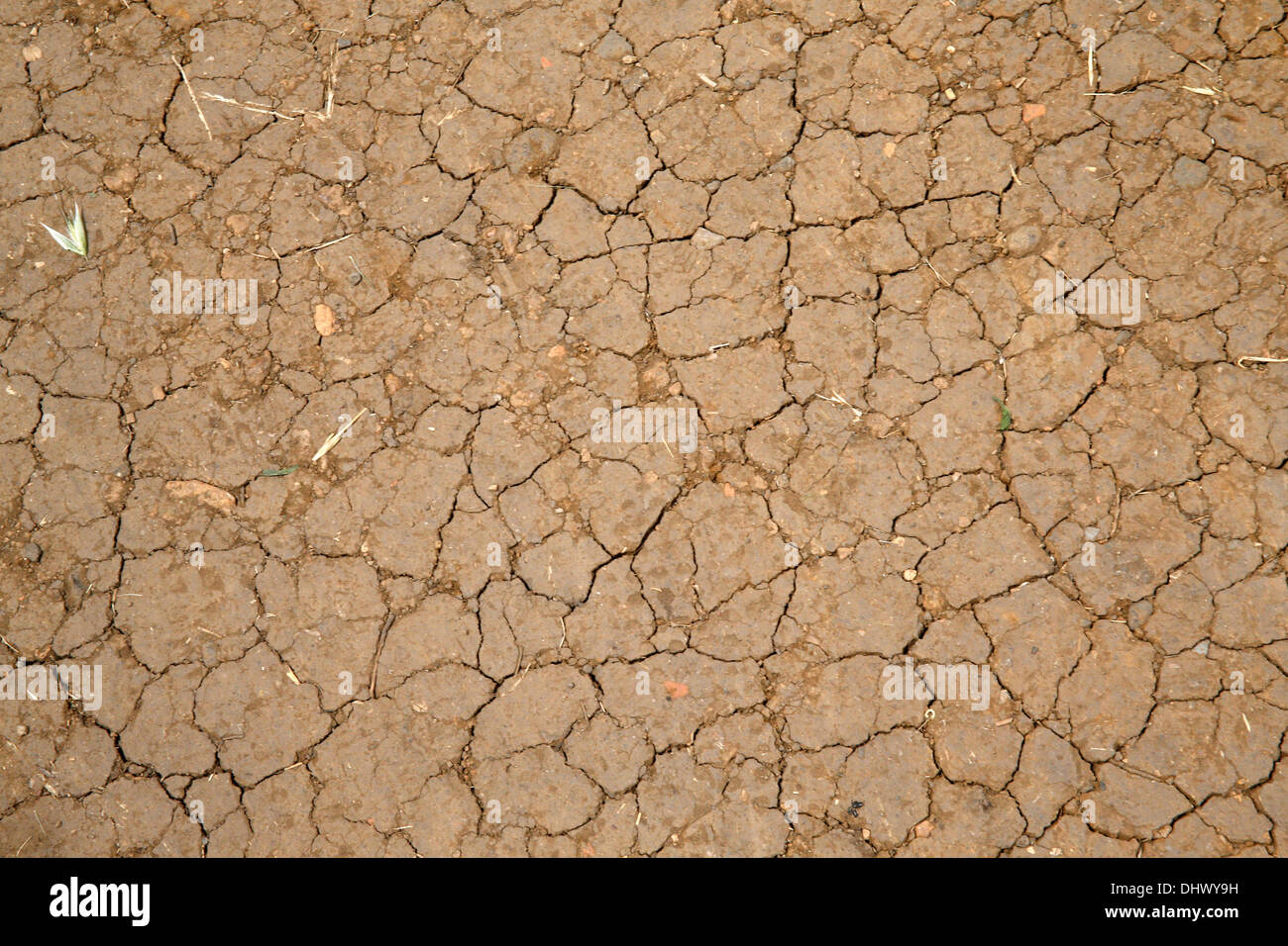 Earth craked by the dryness. Stock Photo