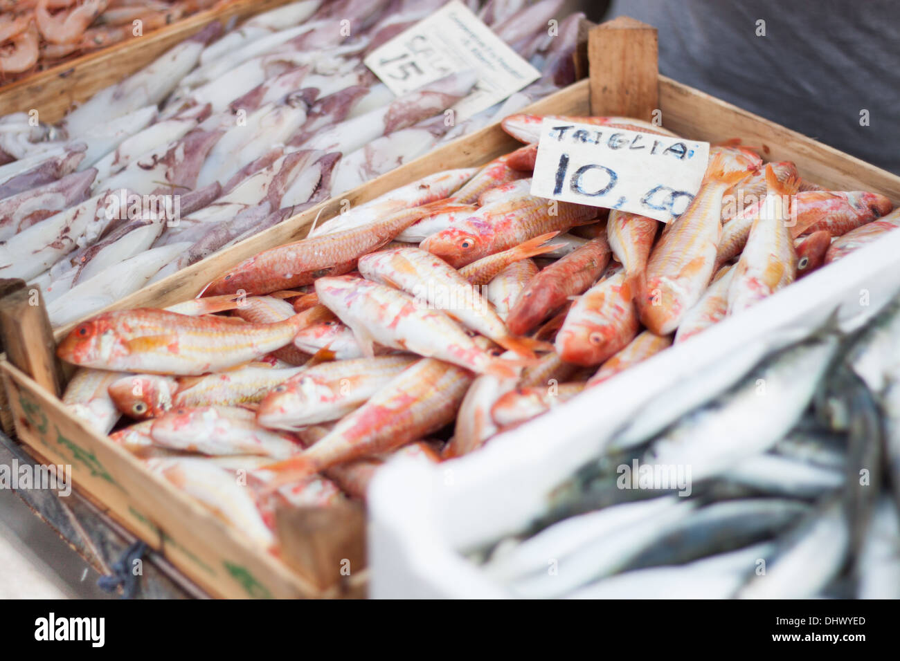 fresh fish box container market 'mullet fish' seafood calamari Stock Photo