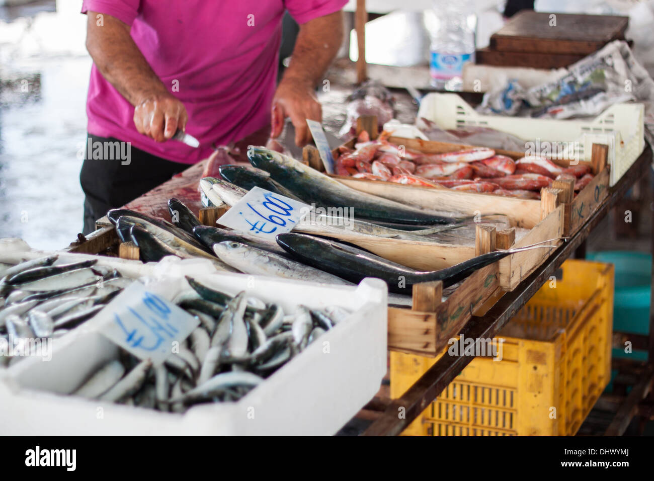 fresh fish 'fish market' marker seller sell price box container Stock Photo