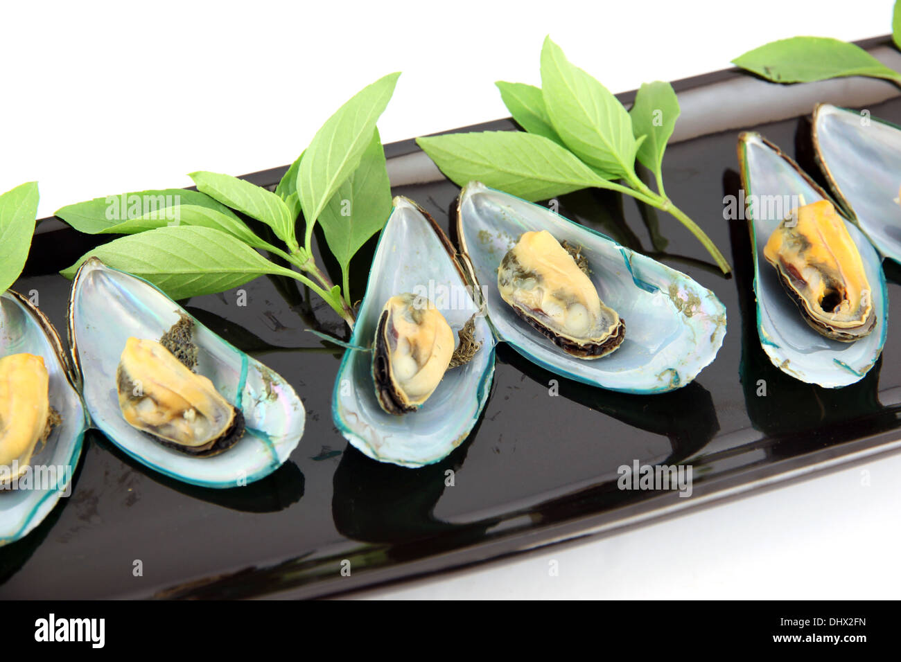 Mussel on black dish on white background. Stock Photo