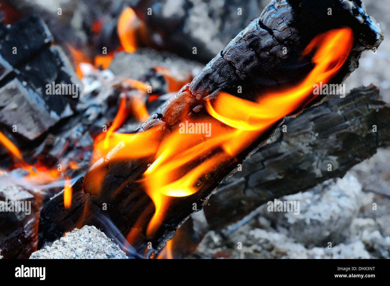 campfire Stock Photo