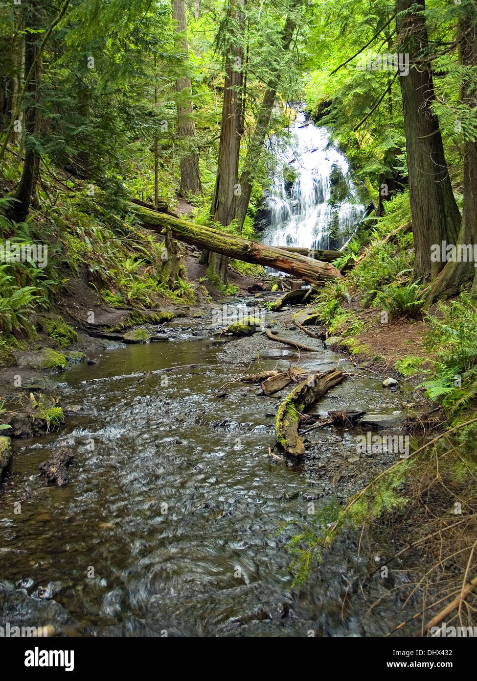 Cascade Falls,Moran State Park,Orcas Island, Washington State Stock ...