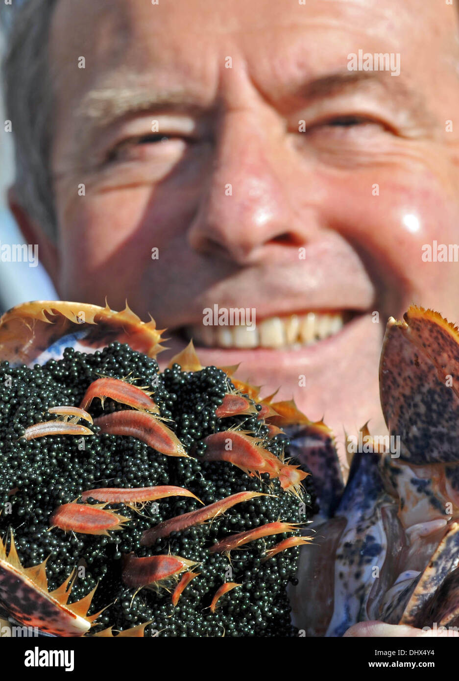 Copperthwaite hires stock photography and images Alamy